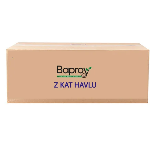 Z-FOLD PAPER TOWEL